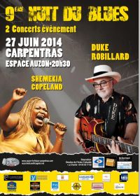 Auzon Le Blues 2014. Le vendredi 27 juin 2014 à Carpentras. Vaucluse.  20H30